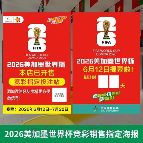 2026世界杯投注规则与法律限制解读